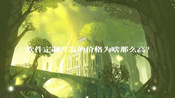 软件定制开发的价格为啥那么高？