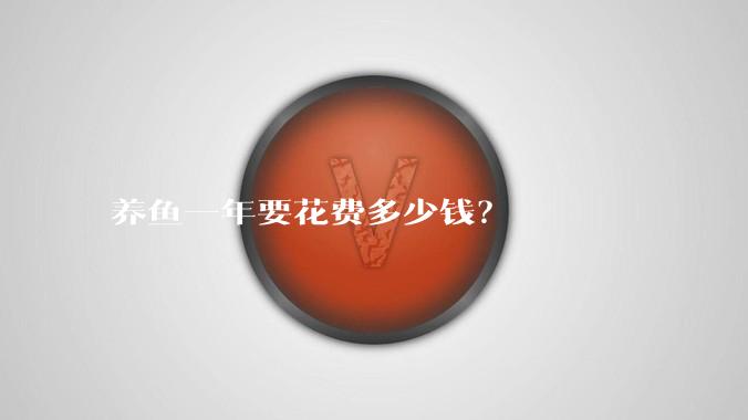 养鱼一年要花费多少钱？