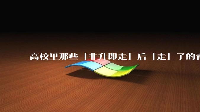 高校里那些「非升即走」后「走」了的青年教师都怎么样了？